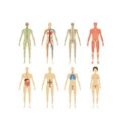 Effects Of Diabetes 5 Parts