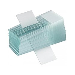 Microscopic Glass Slides