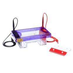 Midi Submarine Gel Electrophoresis Unit