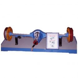 Rear Axle Assembly