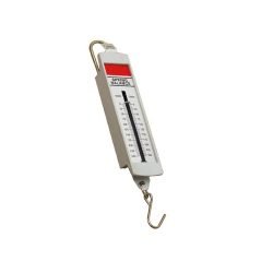 Spring Balance Metric-Newton Flat