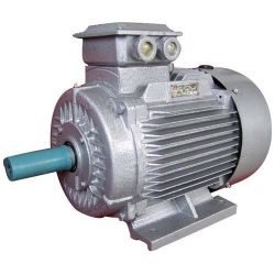 Squirrel Cage Induction Motor