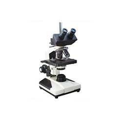 Trinocular Microscope