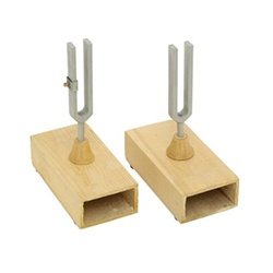 Tuning Fork On Resonance Box