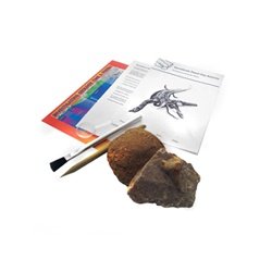 Vertebrate Fossil Dig